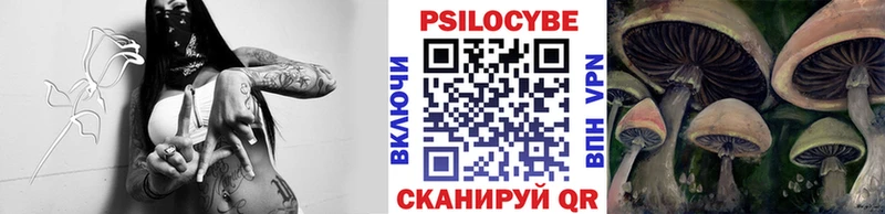 Галлюциногенные грибы прущие грибы  Покров 